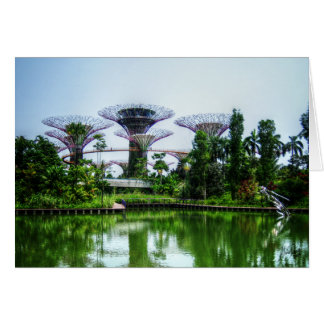 Supertrees et lac de libellule