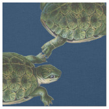 Suppenschildkröte