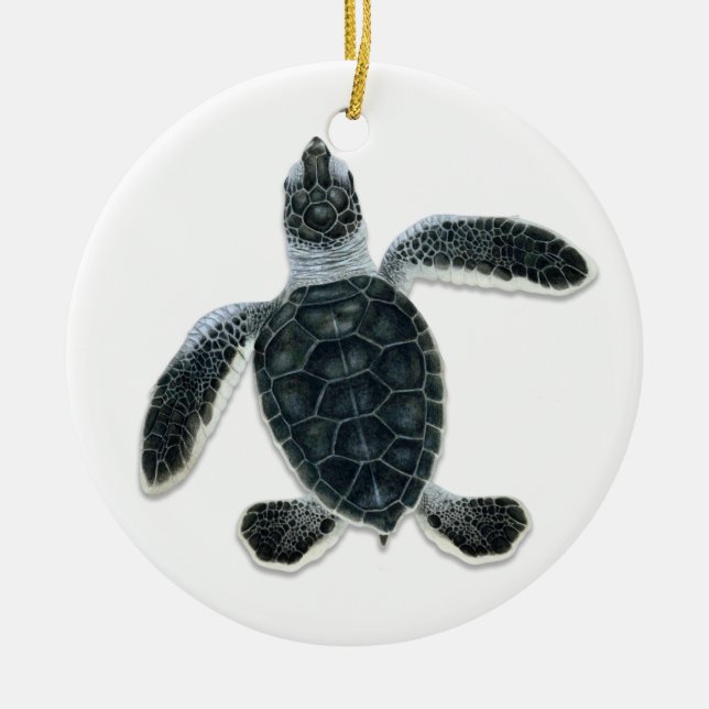 Suppenschildkrötehatchlings-Verzierungen Keramikornament (Vorne)