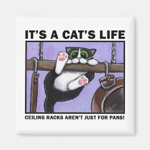 Support v.01 de chat - c'est le magnet de la vie