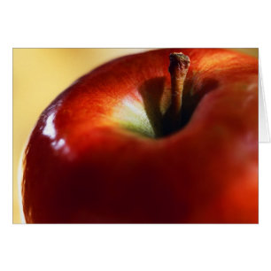 SUPRÉMATIE FEMELLE COMMENCÉE PAR ÈVE