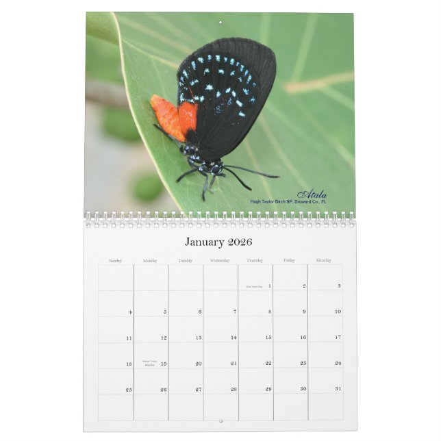 Sur la gaze s'envole le calendrier 2011 de (Jan 2026)
