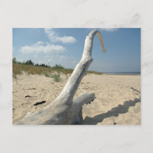 Sur la plage - Carte postale