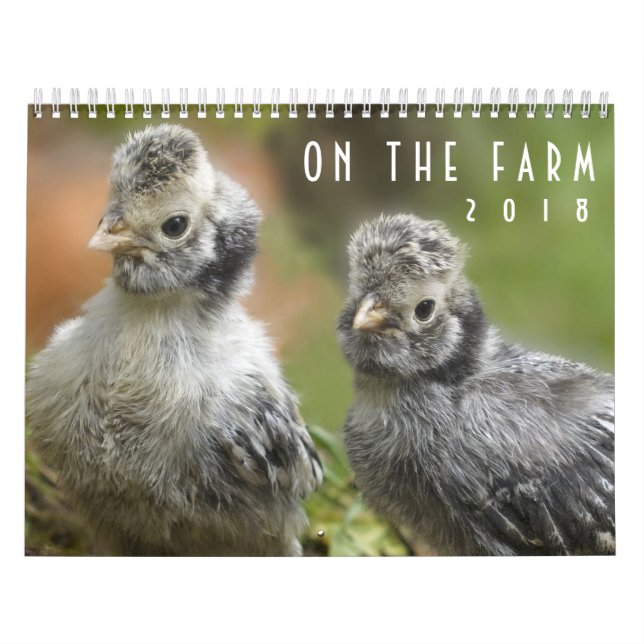 Sur le calendrier aimable d'animaux de basse-cour (Protection)