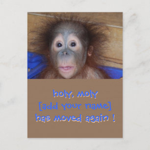 Sur le Faire-part Déplacer une nouvelle adresse