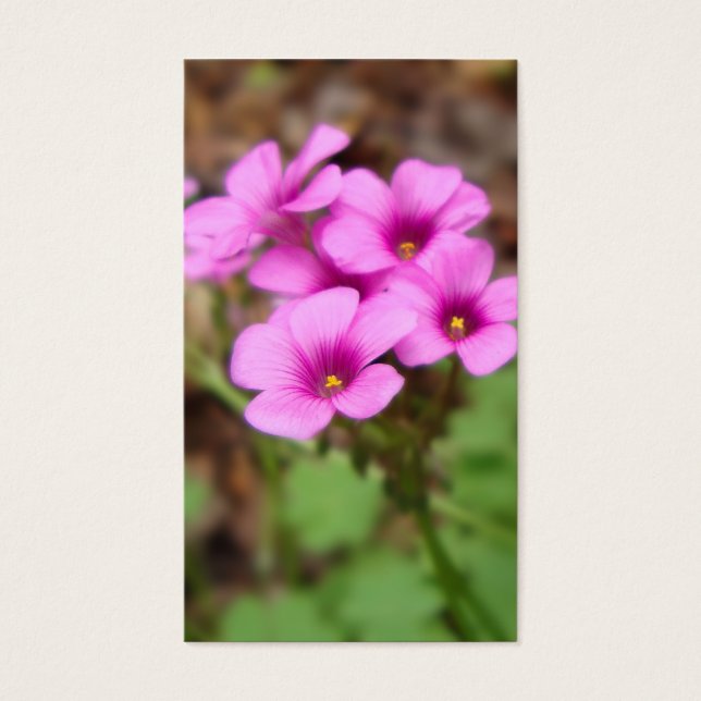 Sur mes Signets de porte (Devant)