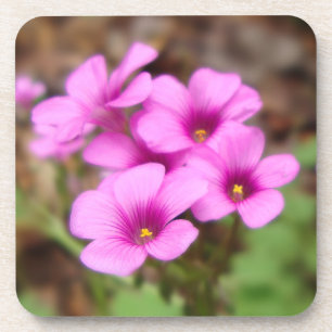 Sur mon Dessous de verre de liège