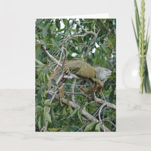 Sur une carte de membre (Devant)