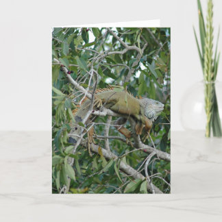 Sur une carte de membre