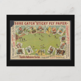 "Sure Catch" klebriges Fly Paper Postkarte