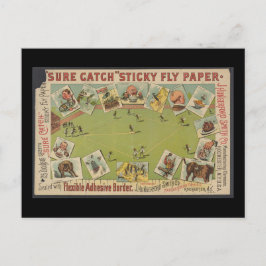 "Sure Catch" klebriges Fly Paper Postkarte
