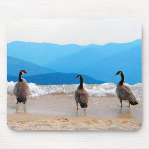 Surf ist auf! - Gänse Mousepad