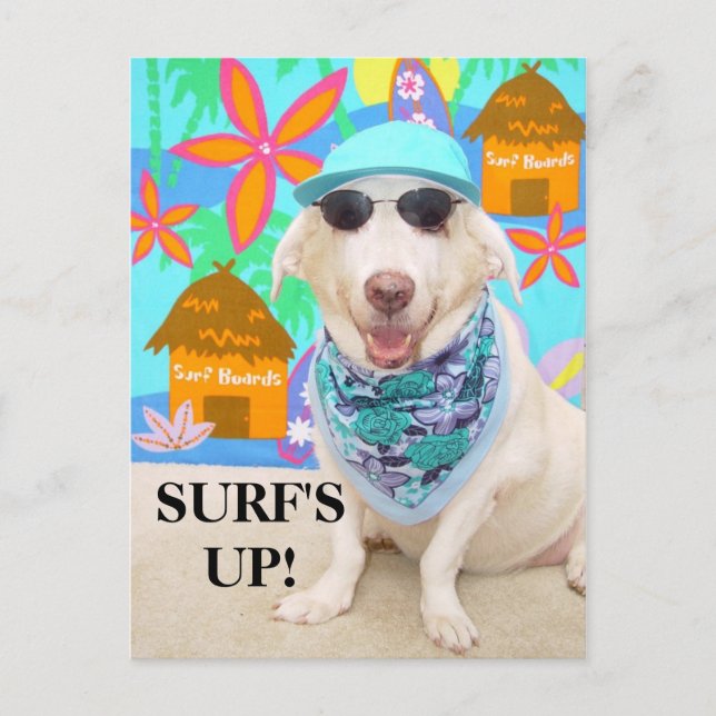 SURF IST AUF! POSTKARTE (Vorderseite)