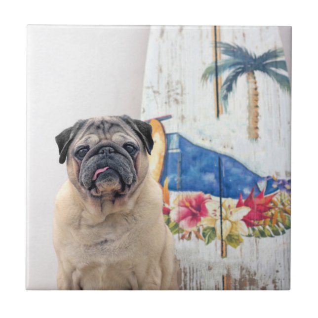 Surf-Mops Fliese (Vorderseite)