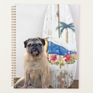 Surf-Mops Planer