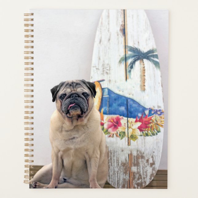Surf-Mops Planer (Vorderseite)