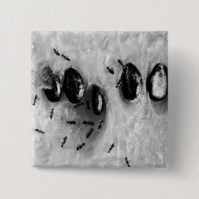 Surfameisen Button (Vorderseite)
