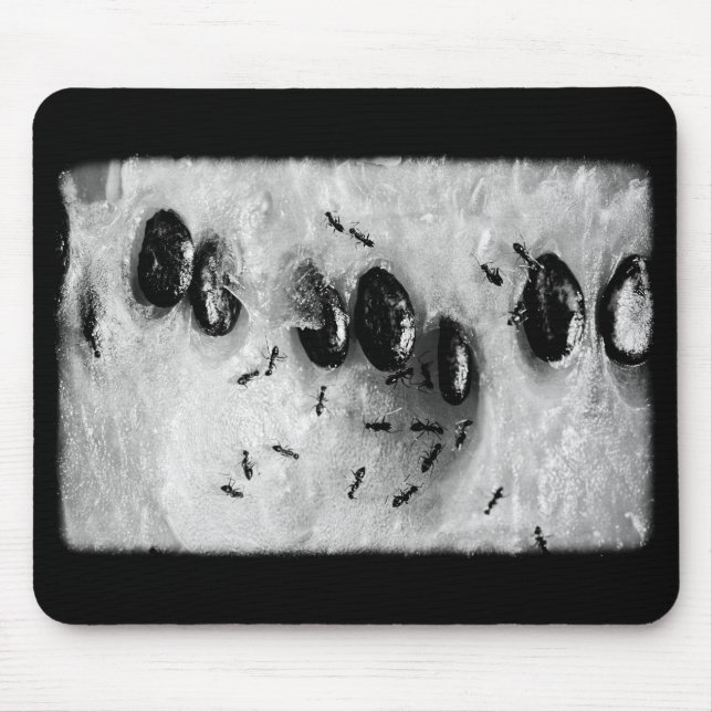 Surfameisen Mousepad (Vorne)