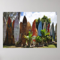 Surfboard Fence Maui, HI
