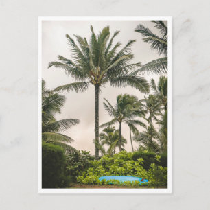 Surfbrett unter einer Palme Hanalei Beach Kauai Postkarte