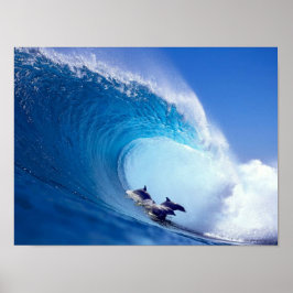 Surfdelfine Poster