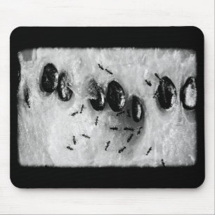 surfen Ameisen Mousepad