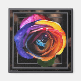 Surfen im Rainbow Rose Magnet