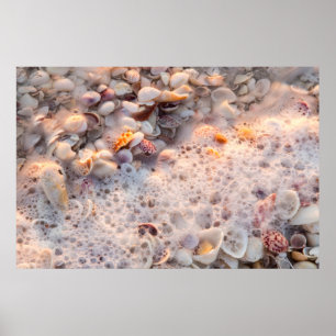 Surfen und Muscheln auf der Insel Sanibel Poster