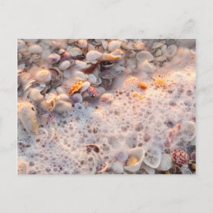 Surfen und Muscheln auf der Insel Sanibel Postkarte