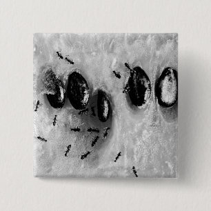 surfende Ameisen Button