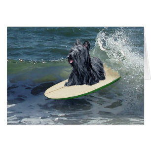 Surfende Skye Terrier