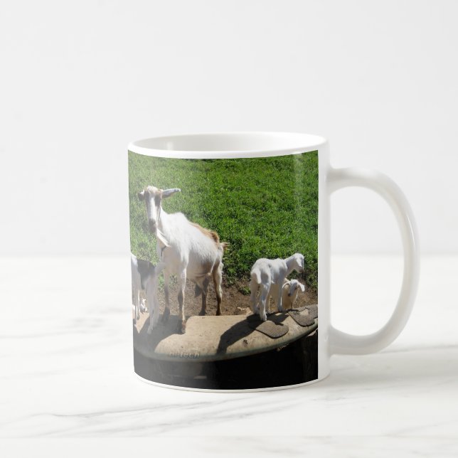 Surfende Ziegen Kaffeetasse (Rechts)