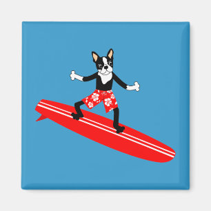 Surfer Bostons Terrier Longboard Magnet