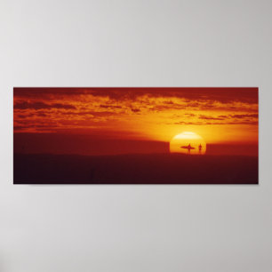 Surfer-Sonnenuntergang Poster