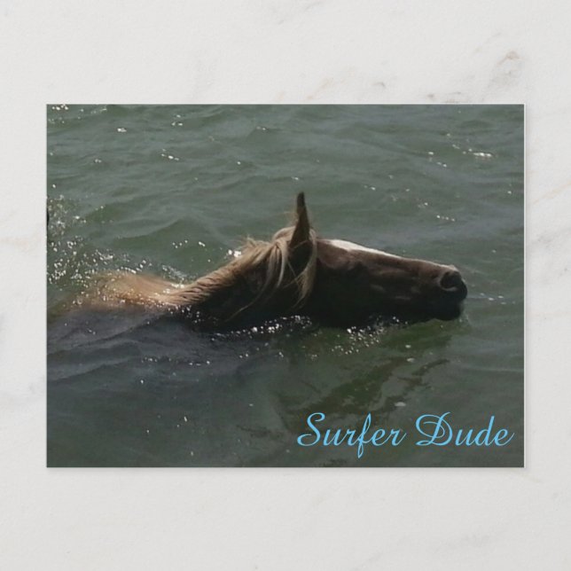 Surfer Typ Postkarte (Vorderseite)