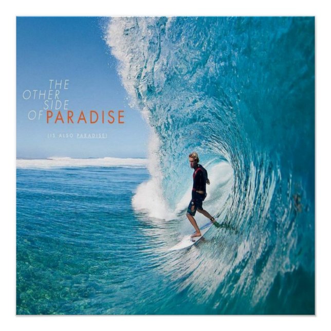 Surfsurfer Poster (Vorderseite)