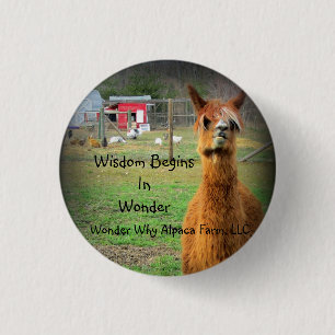 Suri Alpaka-Knopf Button