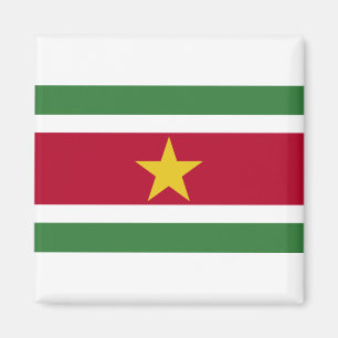 Suriname-Flag Magnet