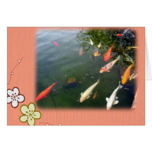Surprise de Koi