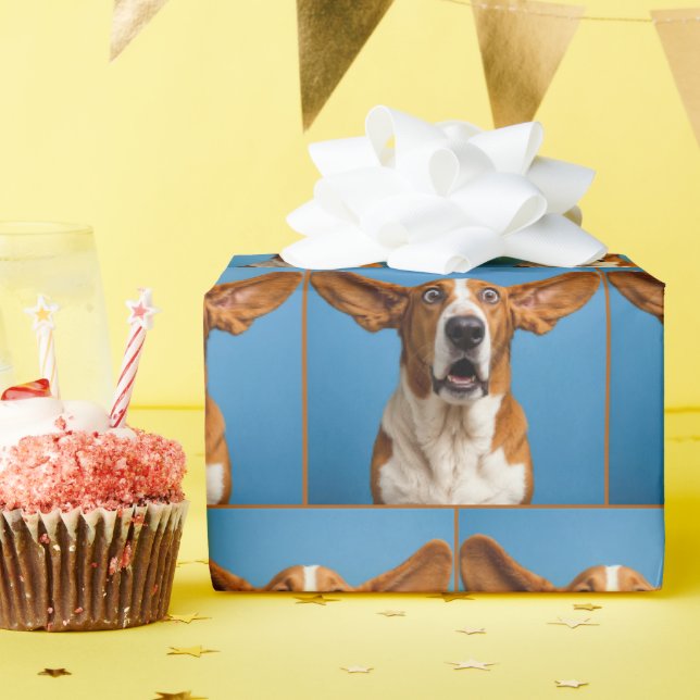 Surprised Basset Hound Geschenkpapier (Geburtstagsparty)