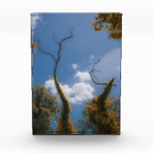 Surreale Natur