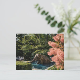 Surrealer schöner Elefant im Pool Postkarte