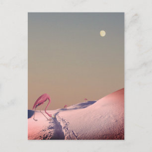 Surrealistische Flamingos im Schnee Postkarte