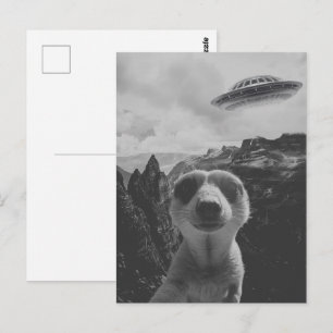 Surrealistisches Selfie eines Erdmännchens in eine Postkarte