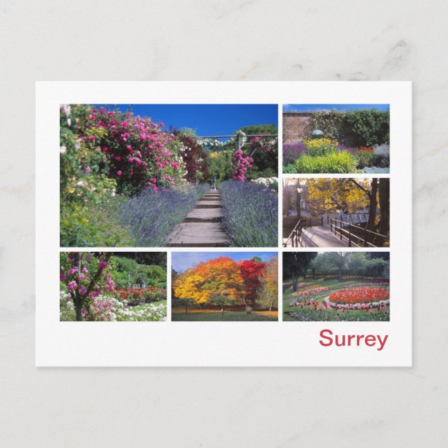 Surrey Postkarte (Vorderseite)
