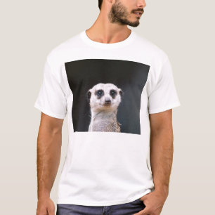 Surveillance de Meerkat - T-shirt