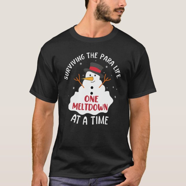 Surviving The Paraprofessional Life One Meltdown A T-Shirt (Vorderseite)