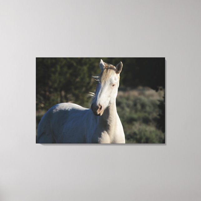 Survivor ~ Wilder Eisenhengst der Steens-Leinwand Leinwanddruck (Vorderseite)
