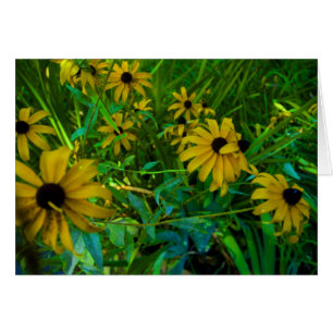 Susans Noir-Eyed