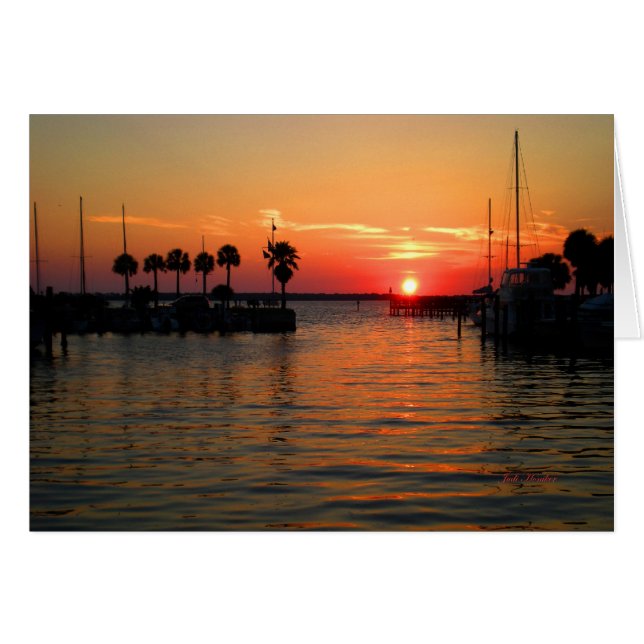 "Susending Time" Dunedin Marina (Vorderseite (Horizontal))